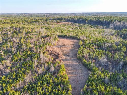 72 Acres Chambers Co, Hunting : Wadley : Chambers County : Alabama
