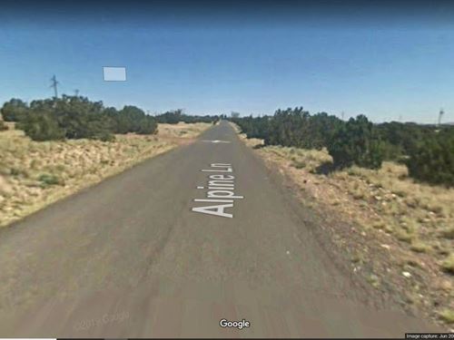 Perfect Desert Retreat in Concho : Concho : Apache County : Arizona