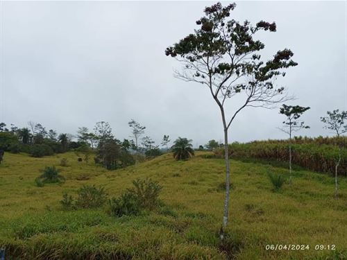 Beautiful Farm in Upala : Upala De Alajuela : Costa Rica