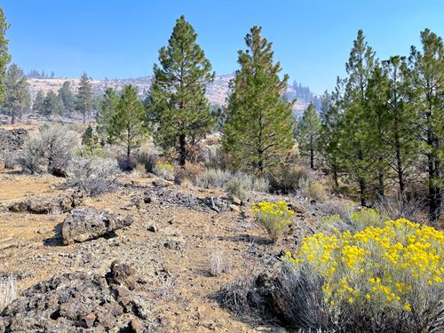 Residential Home with Adventure Fun : Chiloquin : Klamath County : Oregon
