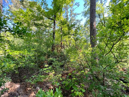 Residential Lot Near Houston & Lake : Trinity : Val Verde County : Texas