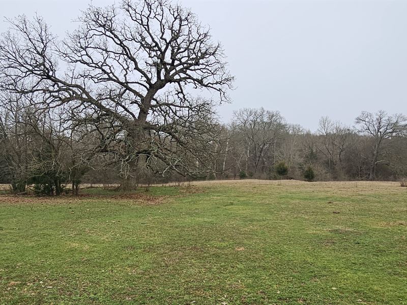 Davis Springs 40 : Ravenna : Fannin County : Texas