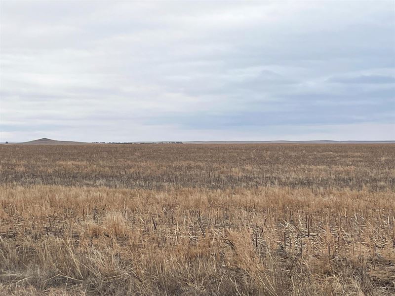 801 Acres, Sheridan County Farms : Gordon : Sheridan County : Nebraska