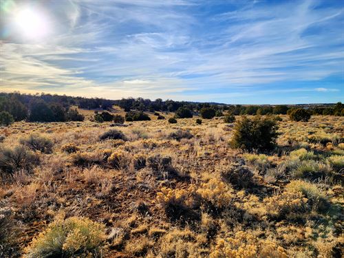 Great Price, Many Uses : Ramah : Cibola County : New Mexico