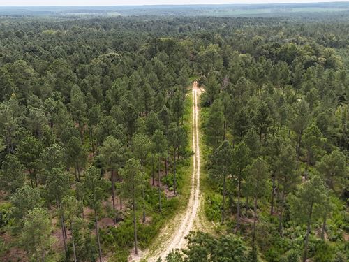 Prime Investment Property : Appling : Columbia County : Georgia