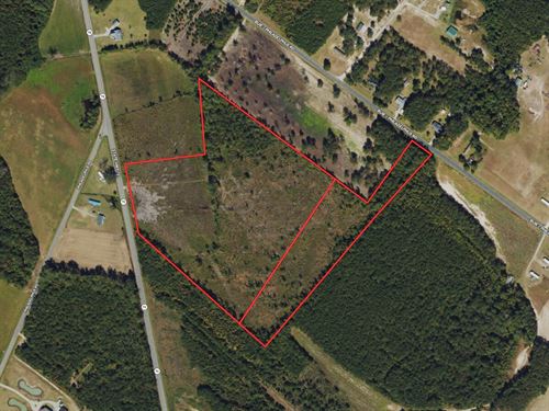 29.18 Acres of Timberland For Sale : Pembroke : Robeson County : North Carolina