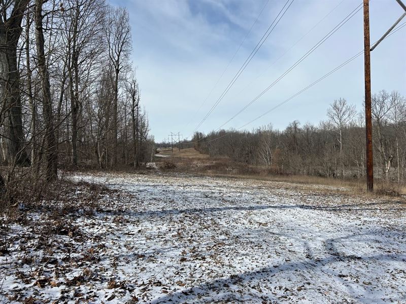 55 Acres in Cayuga : Cayuga : Vermillion County : Indiana