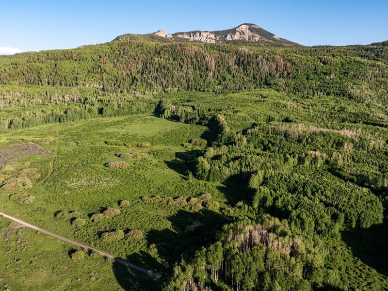 Buckhorn Lakes Investor Package Gra : Montrose : Montrose County : Colorado