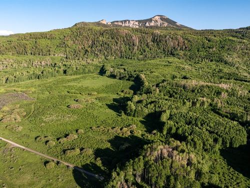 Buckhorn Lakes Investor Package Gra : Montrose : Colorado