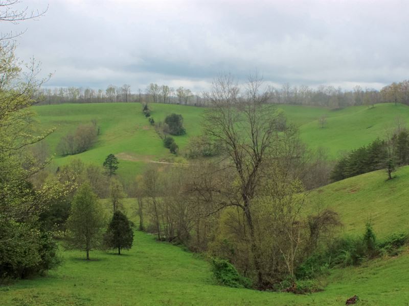 No Credit Check, $999 Down : London : Laurel County : Kentucky