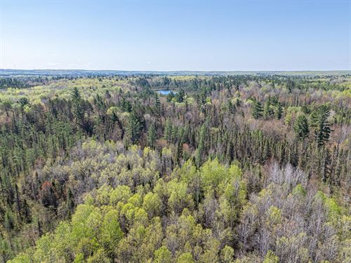 40 AC Near Ottowa Forest : Watersmeet : Gogebic County : Michigan