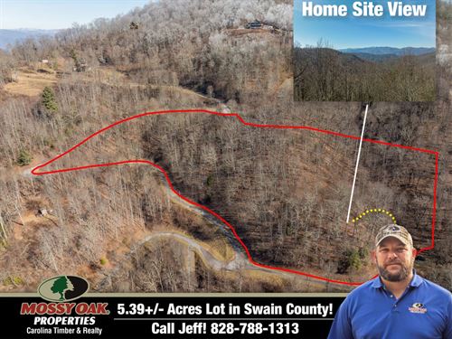 5.3 Acre Lot in Swain County : Bryson City : Swain County : North Carolina