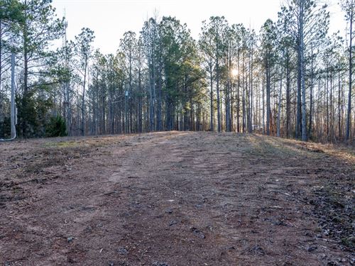 Rockford 13 Acre Homesite : Rockford : Coosa County : Alabama