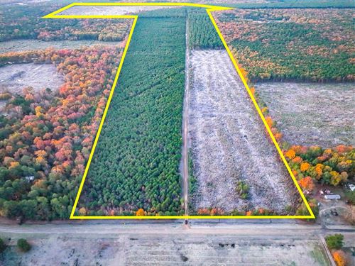 175 Acres, FM 2120, Kiskadee, 70 : Bagwell : Red River County : Texas