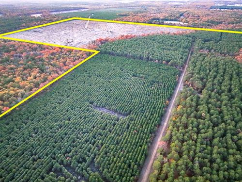 208 Acres, CR 2108, Kiskadee, 70 : Bagwell : Red River County : Texas