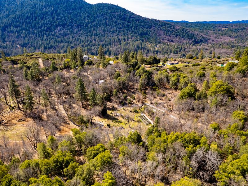 Secluded with Open Area in Trees : Kelseyville : Lake County : California