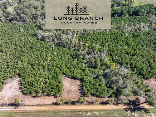 5 Acres, CR 3121, T-5 : Long Branch : Panola County : Texas