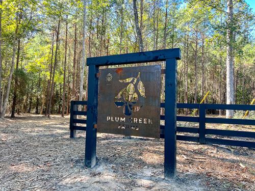 89 Acres, FM 350, T-16, Plum Cre : West Livingston : Polk County : Texas