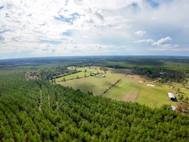10.5 Acres, Tucker's Place, T-9 : Dallardsville : Polk County : Texas