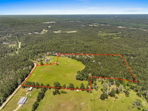 18 Acres, Sanford Road : Corrigan : Polk County : Texas
