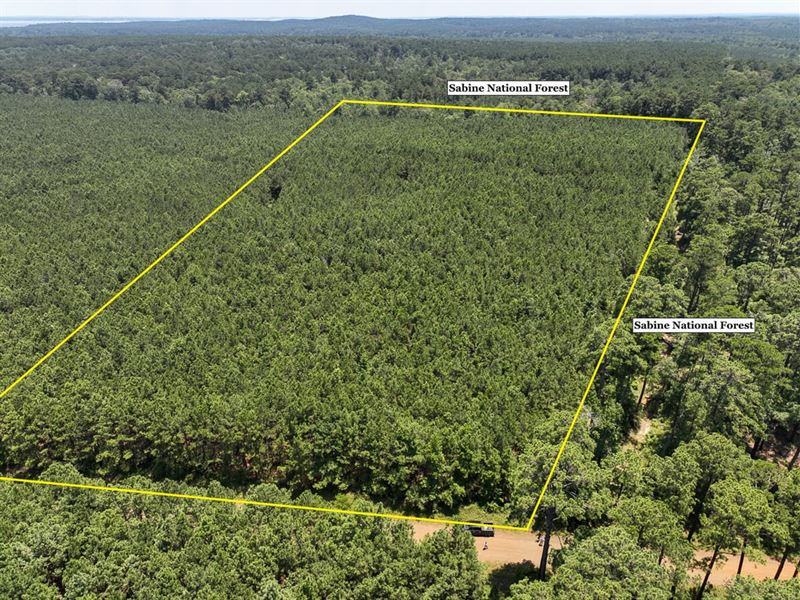 12 Acres, T-7, Bayou Road, 1023 : Milam : Sabine County : Texas