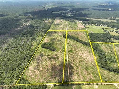 41 Acres, T-6, Sunflower Road, 0 : Dallardsville : Polk County : Texas