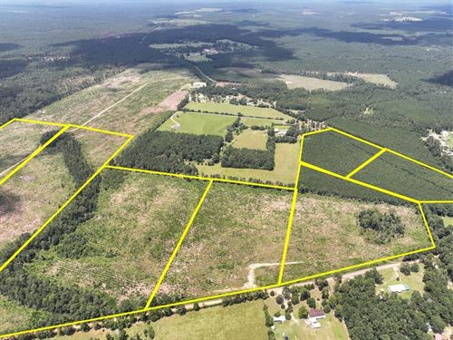 12 Acres, T-10, FM 1276, 00011 : Dallardsville : Polk County : Texas