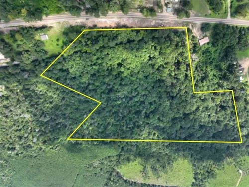 26 Acres, T-1, Highway 87, 28701 : Burkeville : Newton County : Texas