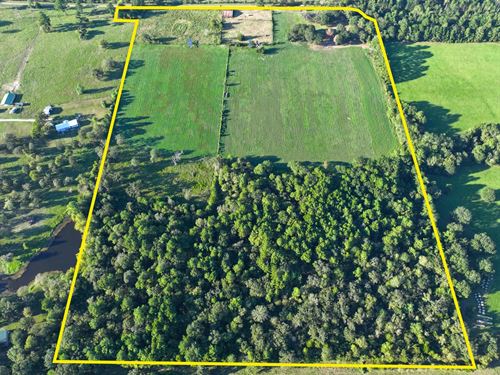 41 Acres, T-1, Hoke Road : Richards : Montgomery County : Texas