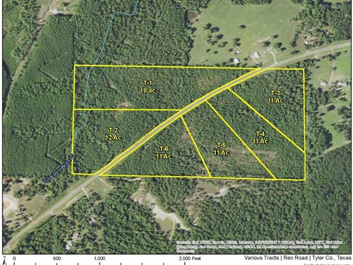 11 Acres, Rec Road 255, T-4 : Colmesneil : Tyler County : Texas