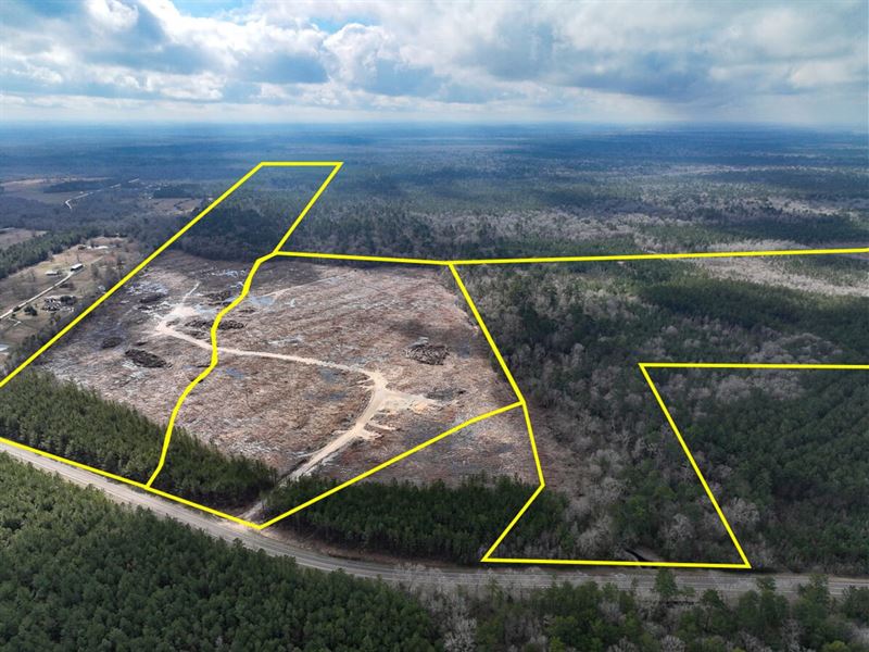 303 Acres, T-3, FM 421, 01058 : Lumberton : Hardin County : Texas