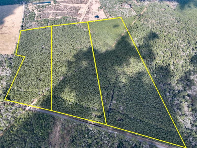 39 Acres, T-3, Laird Road, 01528 : Kountze : Hardin County : Texas