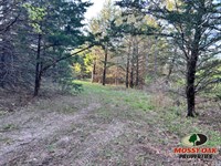 Wooded Land For Sale North of Muens : Muenster : Cooke County : Texas