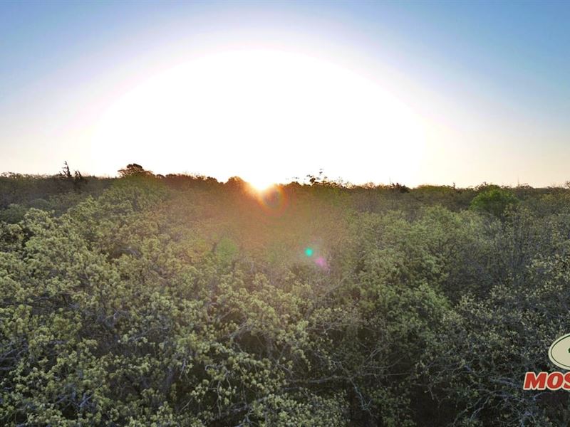 28.48 Wooded Acres in The North Tex : Muenster : Cooke County : Texas