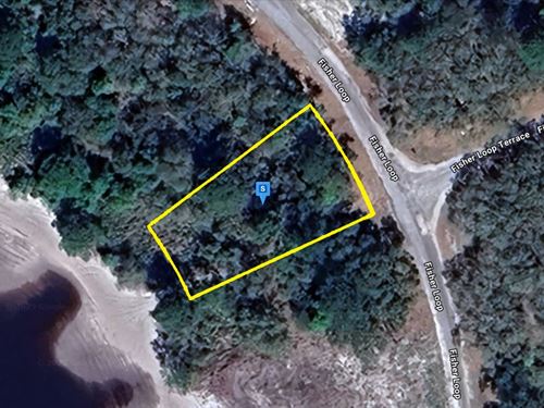 Lot Near Beach : Ocklawaha : Marion County : Florida