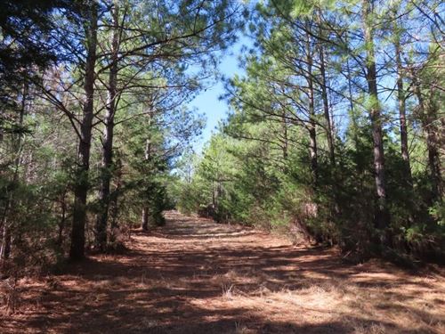 Wooded Acreage : Winnsboro : Fairfield County : South Carolina