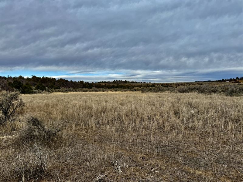Skyway Ranch : Dolores : Montezuma County : Colorado
