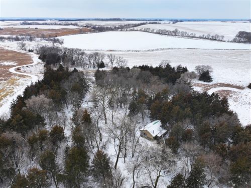 25 Acres, Stanton County, Deer : Stanton : Nebraska