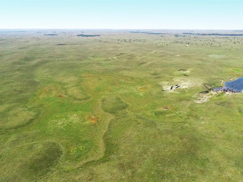 646 Acres, Brown County Section : Ainsworth : Brown County : Nebraska