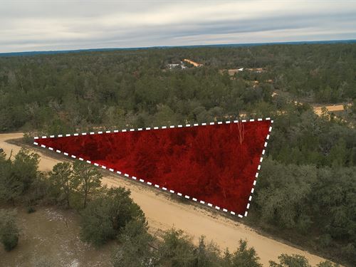 Perfect Weekend or Forever Spot : Interlachen : Putnam County : Florida