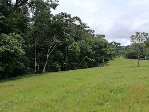 Beautiful Natural Farm : Costa Rica