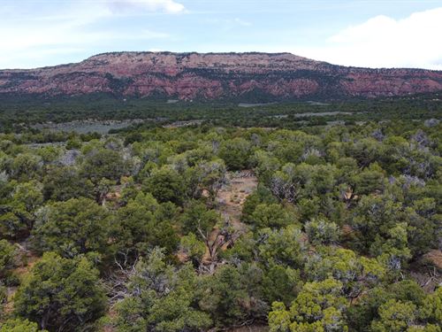 Skull Creek 35 : Dinosaur : Moffat County : Colorado