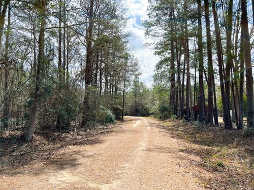 22 Acres, T-6, FM 1746 : Spurger : Tyler County : Texas