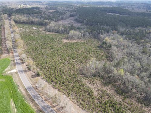 46 Acres Hwy 106 : Brantley : Crenshaw County : Alabama