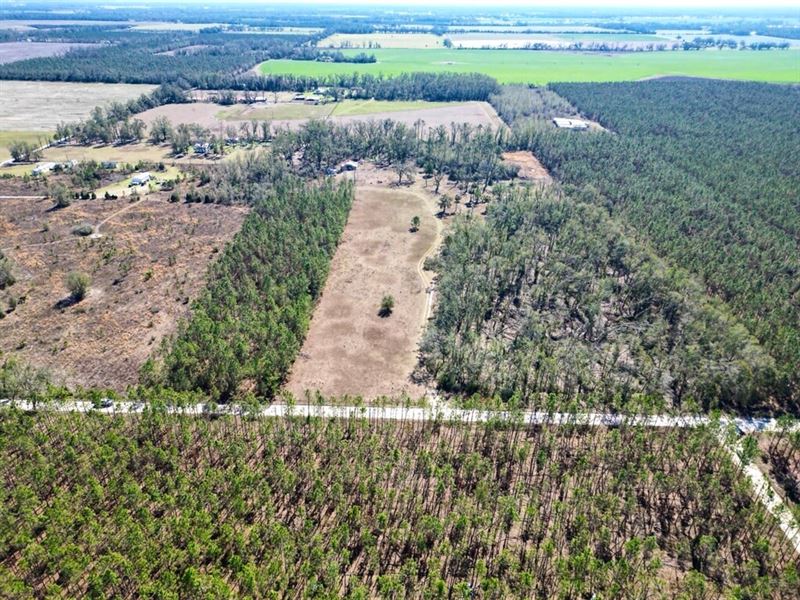 Peaceful 30 : Mayo : Lafayette County : Florida