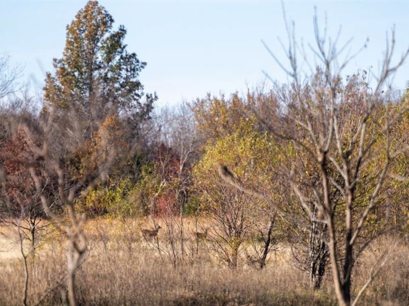 3 Acres Near Collinsville, OK : Collinsville : Tulsa County : Oklahoma