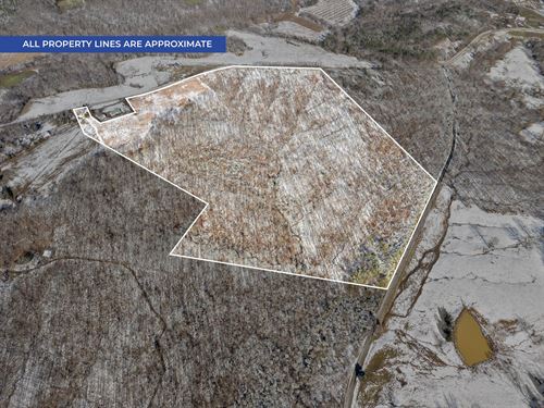 Wooded Tract Ready for Development : Elkton : Todd County : Kentucky