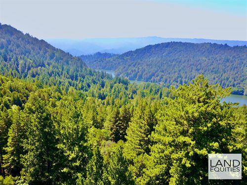 Remote Mountain Top in The Redwoods : Felton : Santa Cruz County : California