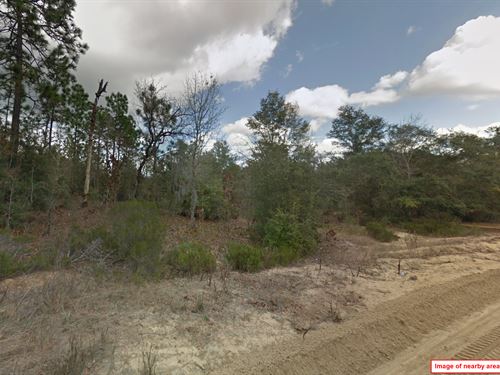 Buildable Lot in Northern Florida : Interlachen : Putnam County : Florida