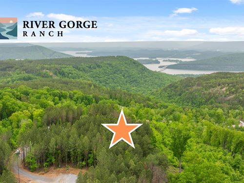Bluff Site in River Gorge Ranch : Guild : Marion County : Tennessee